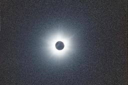 corona image 1