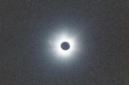 corona image 2