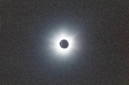 corona image 3