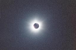 corona image 4